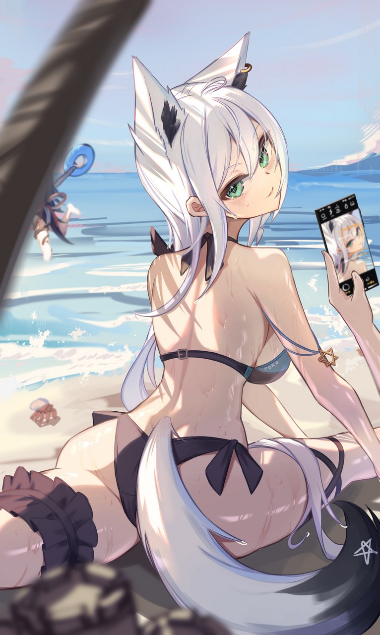 Kitabana Hololive Shirakami Fubuki Animal Ears Ass Bikini Garter Swimsuits Tail We