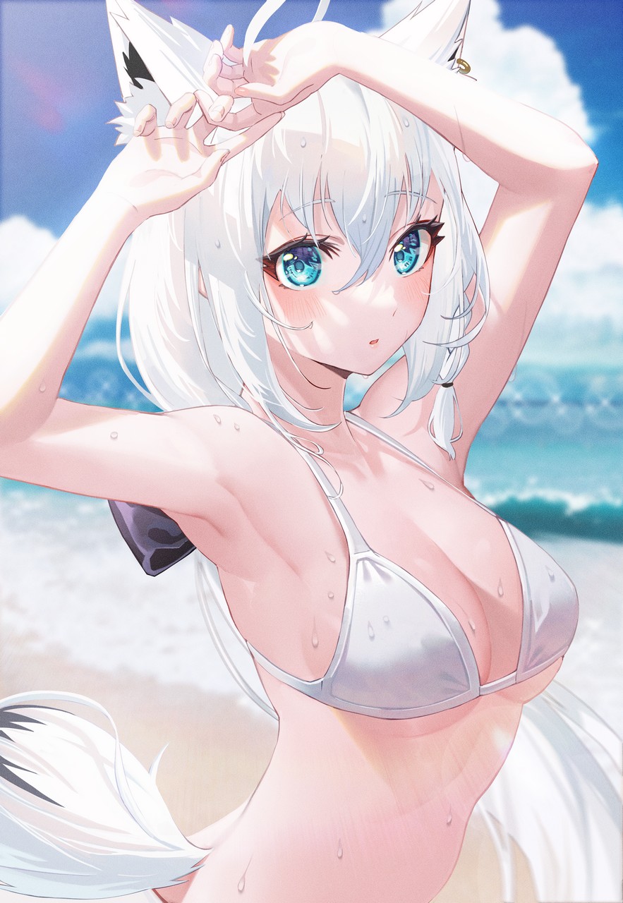 Sanada Keisui Hololive Shirakami Fubuki Animal Ears Bikini Swimsuits Tail We