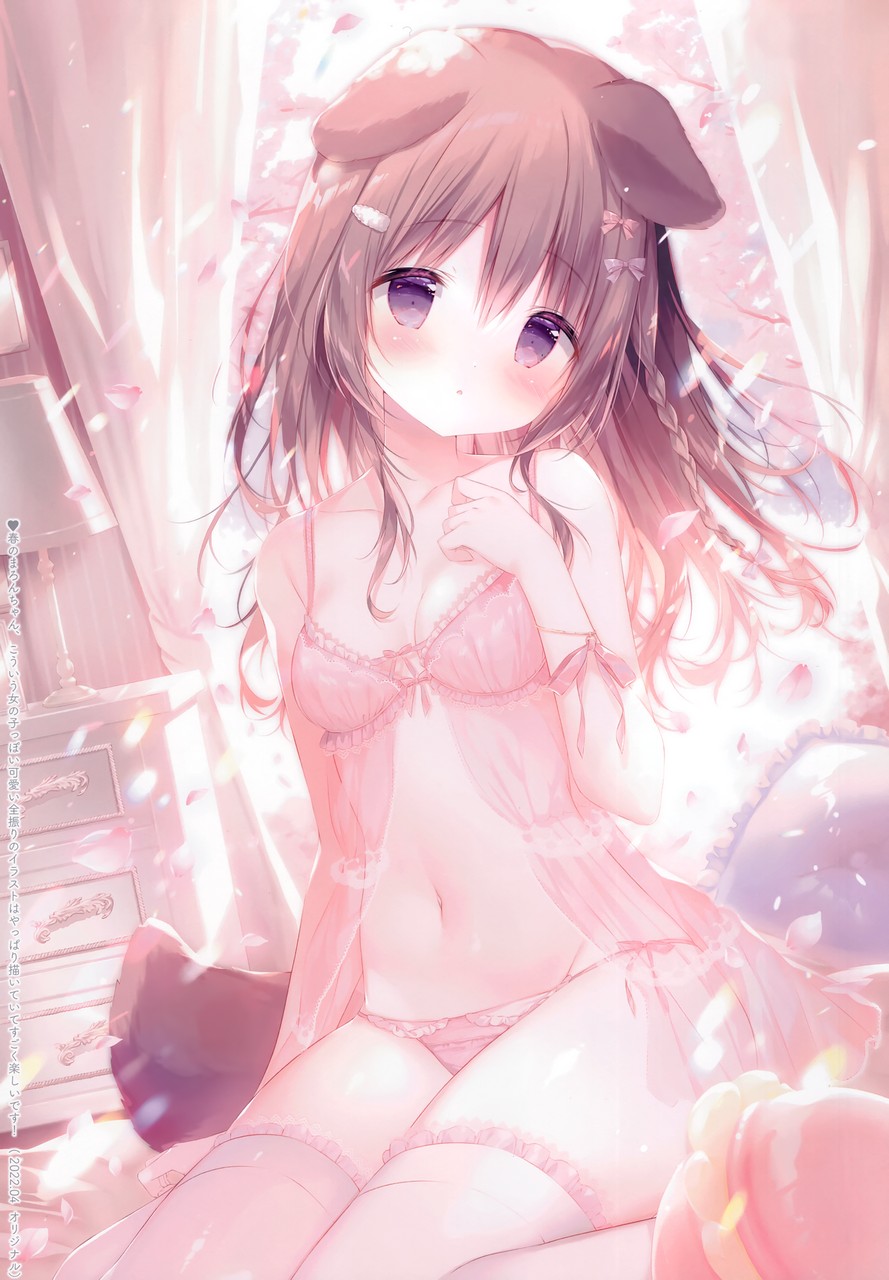 Shiratama Animal Ears Inumimi Pantsu See Through Tail Thighhigh