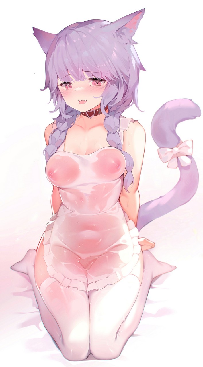 Zzp Final Fantasy Final Fantasy Xiv Miqo Te Animal Ears Naked Apron Nipples See Through Tail Thighhigh