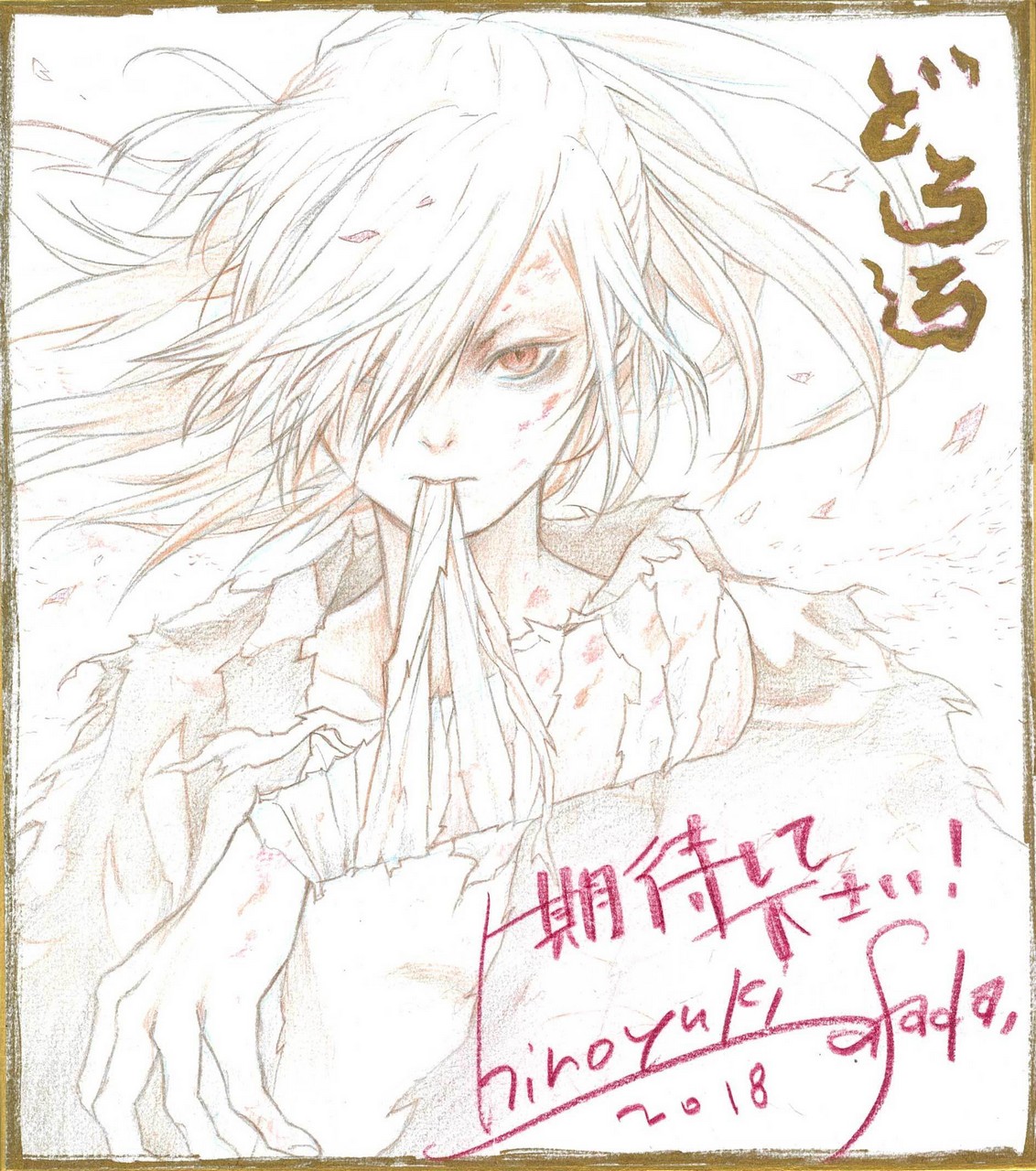 Asada Hiroyuki Dororo Manga Autographed Bandages Sketc