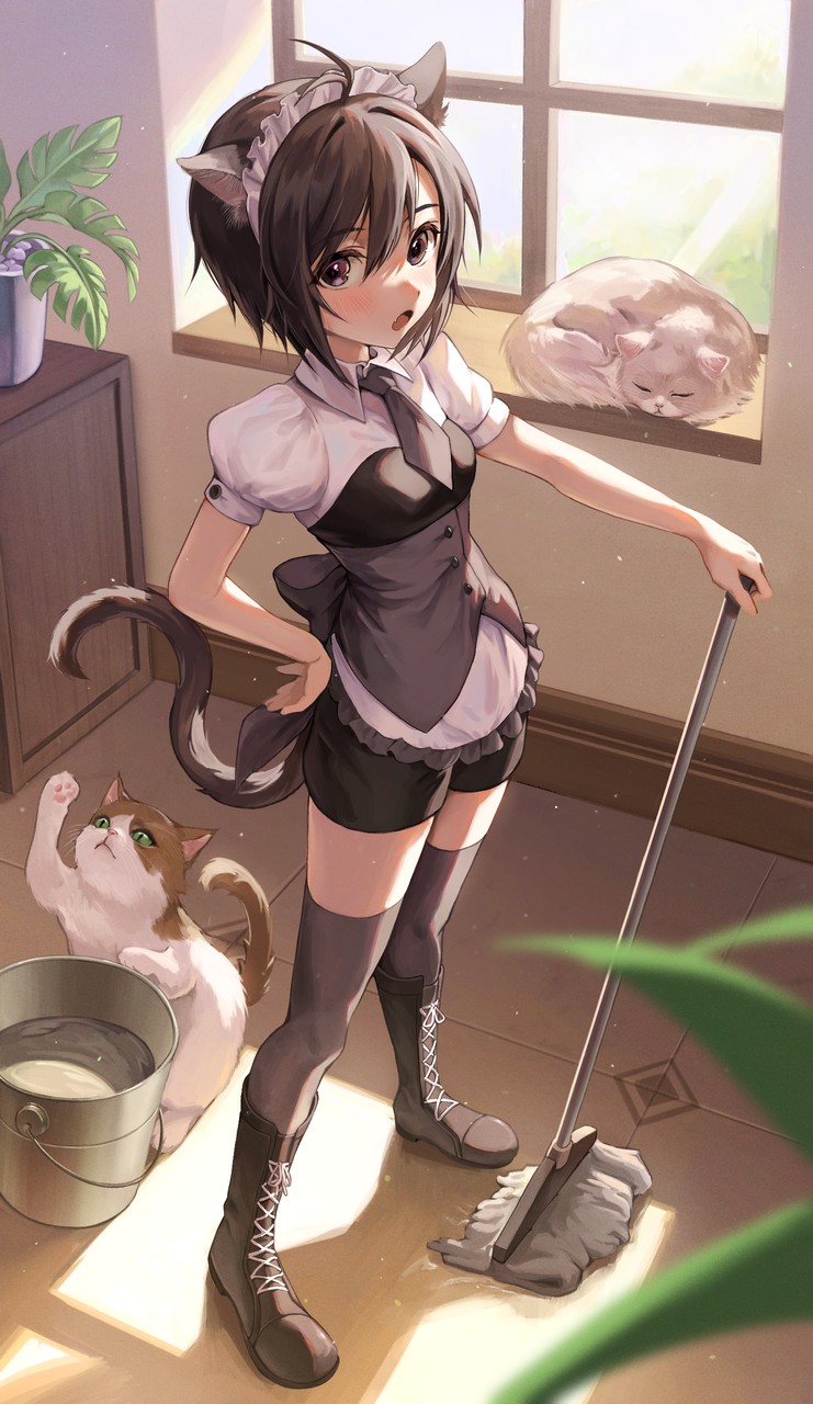 Hd Sw4189101 The Idolm Ster Kikuchi Makoto Animal Ears Maid Neko Nekomimi Tail Thighhigh